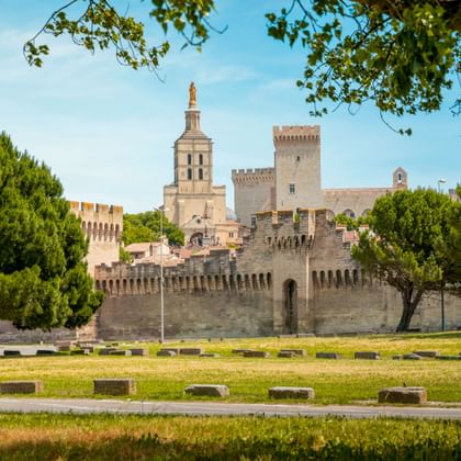 View of Avignon's fortified city walls with towers and the Papal Palace behind, framed by green trees and a grass lawn in Provence.
