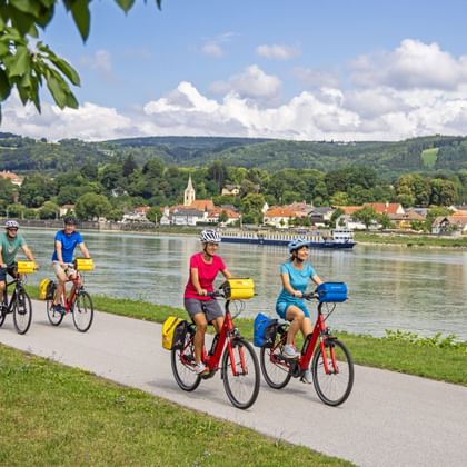 Cycling group on a cycle path along the Danube near Persenbeug-Gottsdorf