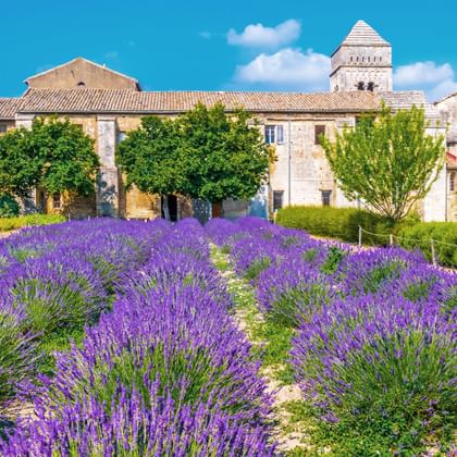 Saint-Paul Abbey in the midst of lavender fields