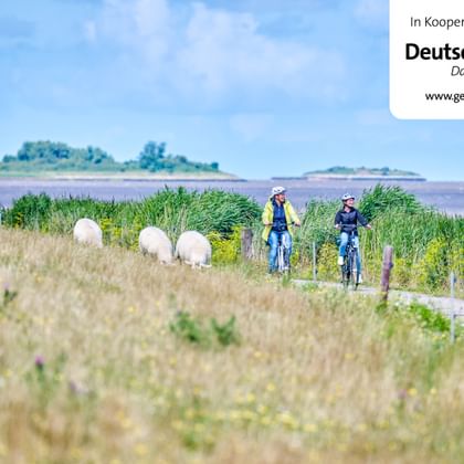 Radfahrer vor Langlütjen