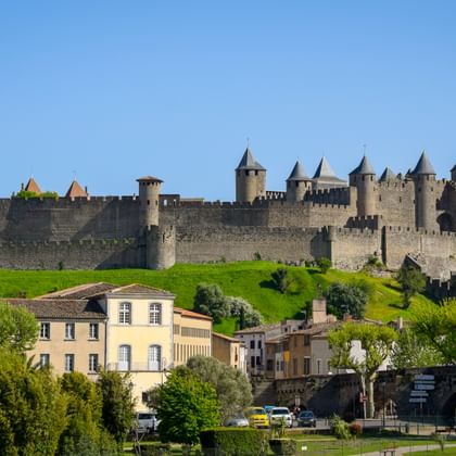Medieval fortress of Carcassonne with stone walls and towers on a hill, surrounded by green grass and trees. Residential buildings in foreground.