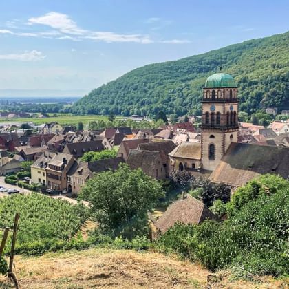 Weinberge mit Blick auf Kaysersberg