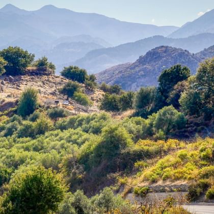 Kurvenreiche Straße durch grüne Hügel mit Olivenbäumen und Sträuchern auf Kreta. Gebirgsketten im nebligen Hintergrund sichtbar.