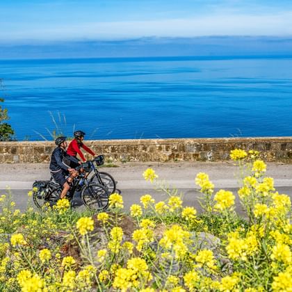 Radfahrer mit Packtaschen auf Küstenstraße mit gelben Blumen im Vordergrund und blauem Mittelmeer im Hintergrund im Cilento.