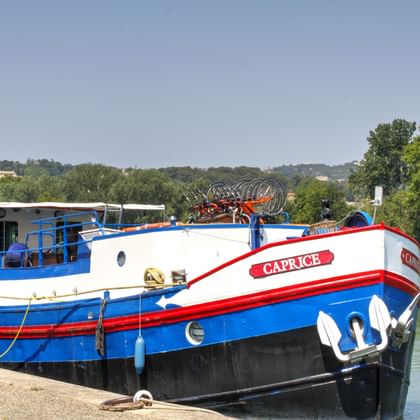 MS Caprice, ein blau-weißes Flusskreuzfahrtschiff mit rotem Zierstreifen und Fahrrädern an Deck, am grünen Flussufer vertäut.