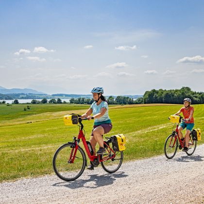 Three cyclists on a gravel path in the Wenger Moor on Lake Wallersee