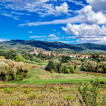 Rolling Tuscan countryside near Vinci with green fields, olive groves, and a hilltop village. Mountains rise in the background under a blue sky.