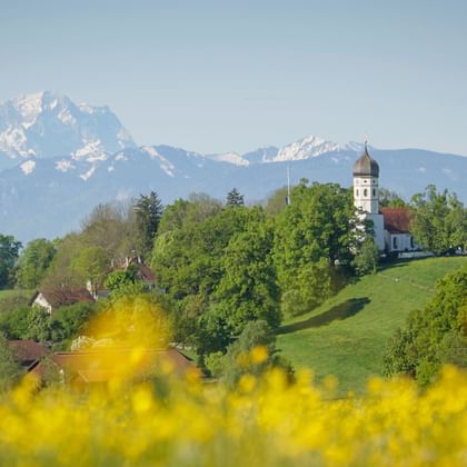White pilgrimage church on green hill in Holzhausen with yellow flower field in foreground and snow-capped Alpine mountains in background.