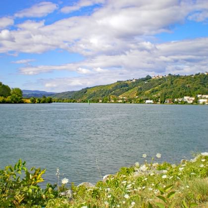 Flusslauf Rhone