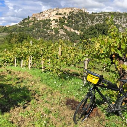 A bicycle leaning against vines, a vineyard and a medieval town on a hill in the background