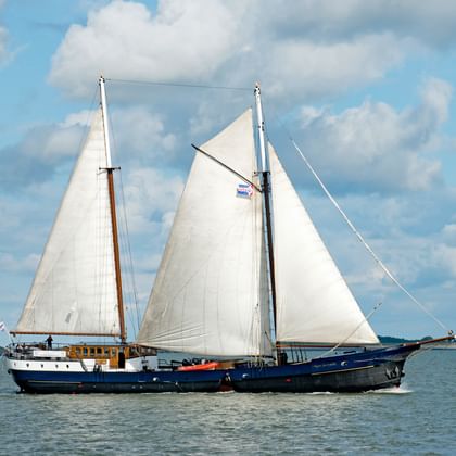 Wapen fan Fryslân