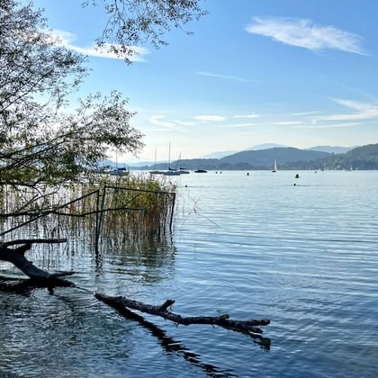 Wörthersee