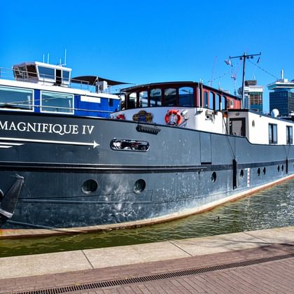 MS Magnifique IV