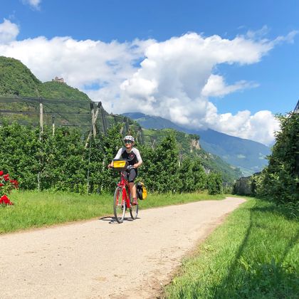 Radler zwischen den Apfelhainen in Südtirol