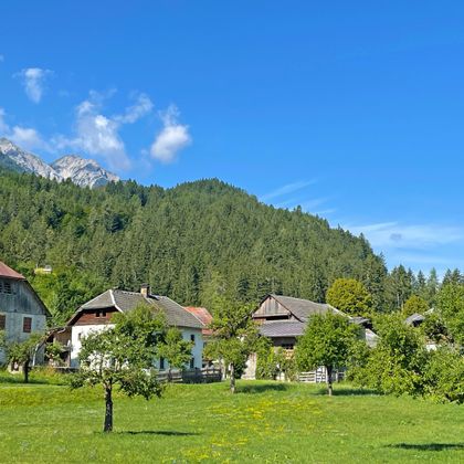 Idyllisch gelegene Bauernhäuser auf der Etappe zwischen Drautal und Spittal, im Vordergrund Obstbäume, im Hintergrund Wälder und Berge