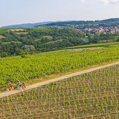 German Wine Route from above with a view of Leistadt
