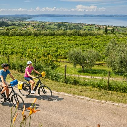 Zwei Radfahrer auf einem Radweg der Gemeinde Cavaion Veronese, mit einem Panoramablick auf die Landschaft und den Gardasee