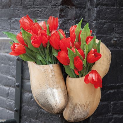 Red tulips in ‘Klompen’