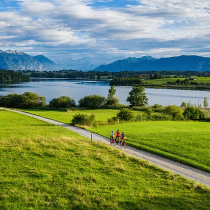 Drei Radfahrer auf schönen Radwegen über Wiesen, im Hintergrund der Riegsee und das Bergpanorama