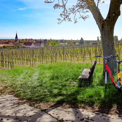 Cycle break in the vineyards, an idyllic village in the background