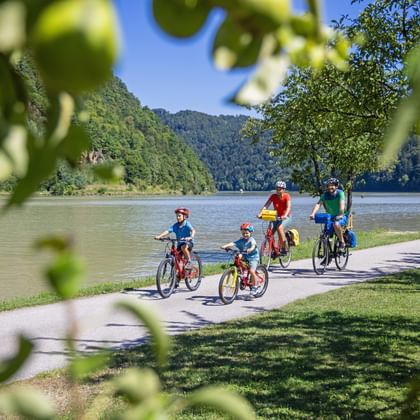 Familie mit vier Personen radelt auf asphaltiertem Weg entlang der Donau, eingerahmt von grünem Laub. Bewaldete Hügel im Hintergrund.