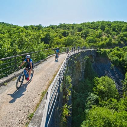 Biker on the Parenzana Trail