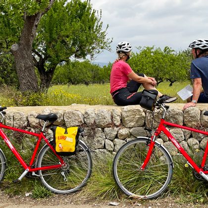 Two cyclists taking a rest on a stone wall with a view of olive trees