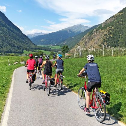 A group of cyclists on beautiful cycle paths between apple orchards and mountains