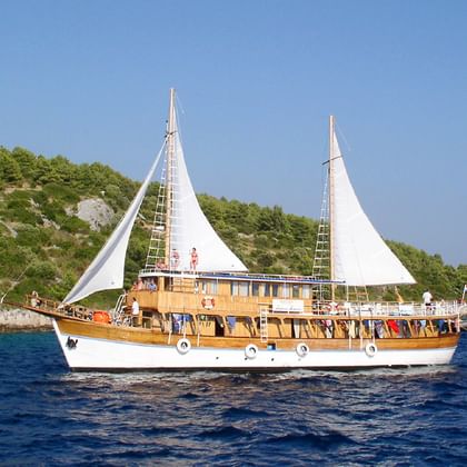 MS Aneta