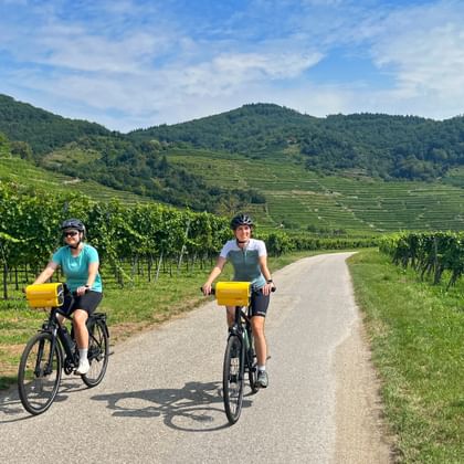Zwei Radfahrerinnen radeln durch Weingärten