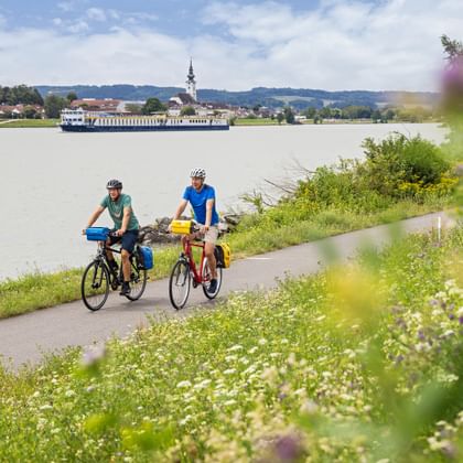 Zwei Radfahrer auf dem Radweg entlang der Donau