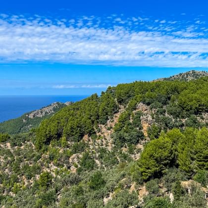 Landschaft mit Meerblick in Sencelles auf Mallorca