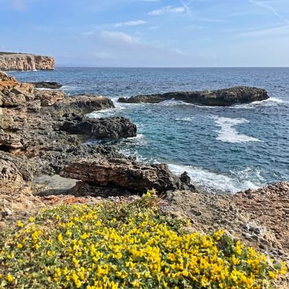 rocky coast