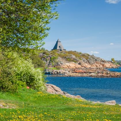 Field of yellow dandelions by the Oslofjord with blue water, rocky coastline, and a windmill on a distant hill under clear sky.