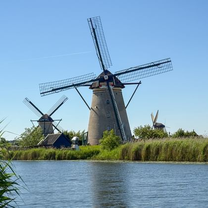 Traditionelle niederländische Windmühlen in Kinderdijk entlang eines Kanals mit Schilf. Blauer Himmel und grüne Vegetation in sonniger Landschaft.