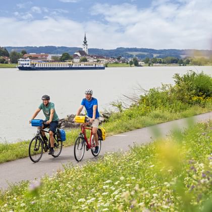 Zwei Radfahrer auf dem Donauradweg mit Wildblumen. Flusskreuzfahrtschiff und Engelhartszell am gegenüberliegenden Ufer sichtbar.
