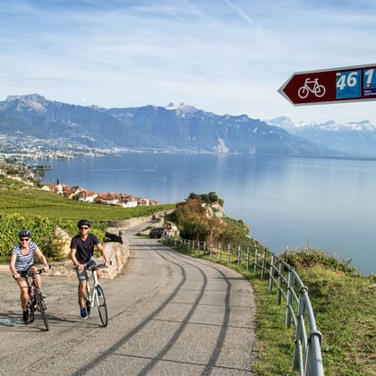 Cycle tour on Lake Geneva near Rivaz in the canton of Vaud