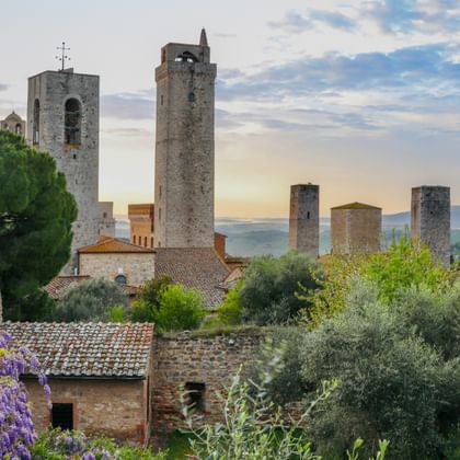 Historic towers of San Gimignano rising above stone buildings, surrounded by cypress trees and blooming wisteria at sunset in Tuscany.