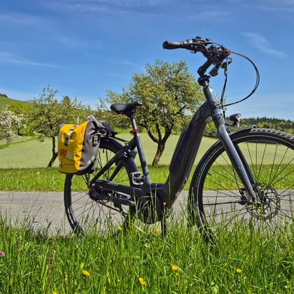 Fahrrad auf dem Mattsee Radweg