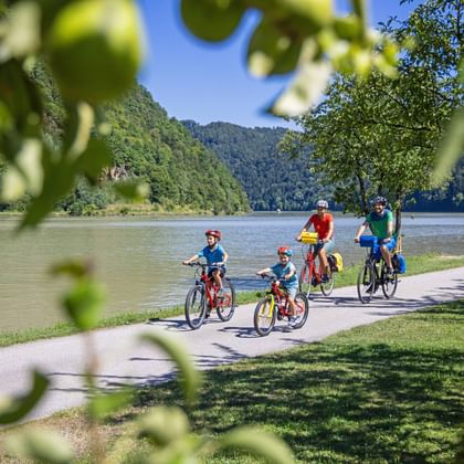 Familie auf Fahrrädern fährt entlang des Donauradwegs am Ufer der Donau