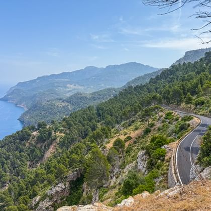 Kurvenreiche Küstenstraße durch das Tramuntana-Gebirge auf Mallorca mit blauem Mittelmeer und bewaldeten Hängen unter klarem Himmel.