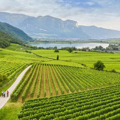 Cyclists on the Adige cycle path at Lake Kaltern