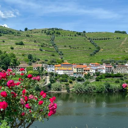Penajoia landscape