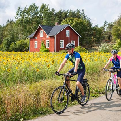 Two cyclists on a cycle path, in the background a field of sunflowers and a typical red wooden house
