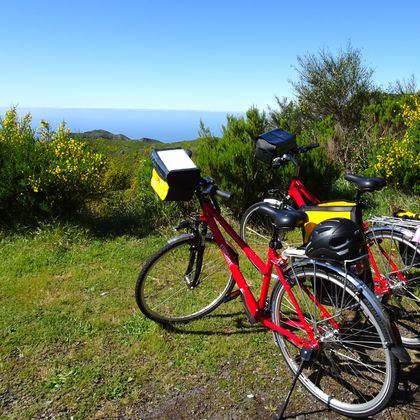 Räder vor Meerblick in Madeira