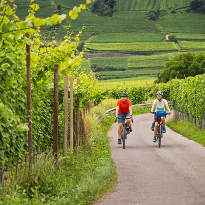 Radtour eines Pärchens zwischen den Weinbergen am Kalterer See