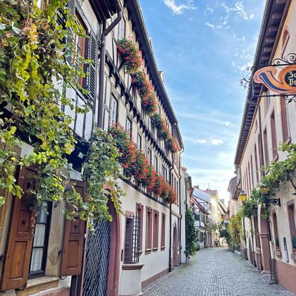 Kopfsteinpflastergasse in Neustadt, Pfalz, gesäumt von Fachwerkhäusern, die mit Blumen und Weinreben geschmückt sind, unter blauem Himmel.