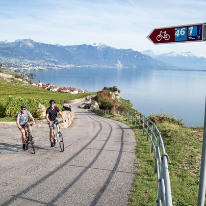 Two cyclists on a bike tour near Rivaz, with panoramic views of vineyards, Lake Geneva and the mountains