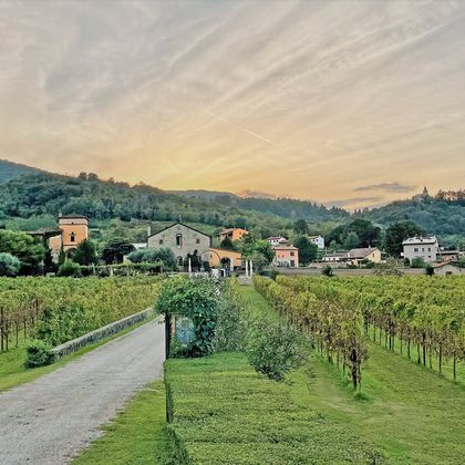 Sonnenuntergang über dem einladenden Weingut Torreglia mit alten Gebäuden und Rebstöcke