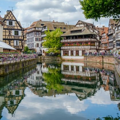 Kanal in La Petite France, Straßburg, gesäumt von rosa Blumen. Traditionelle Fachwerkhäuser spiegeln sich im ruhigen Wasser unter bewölktem Himmel.